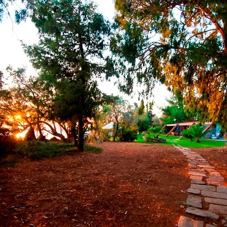 Villa Seafront Aggeliki *