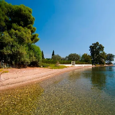 Aggeliki
